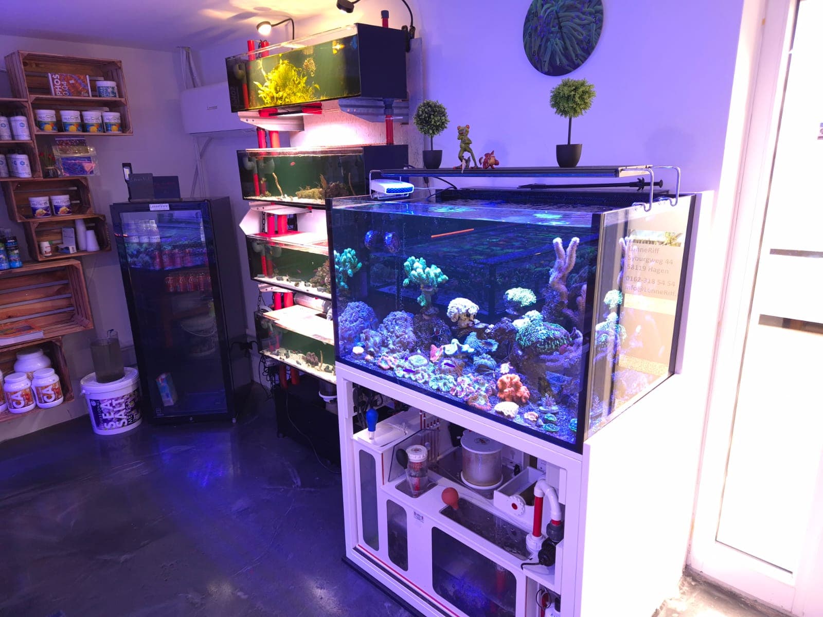 Innenansicht von LenneRiff – Meerwasseraquaristik in Hagen