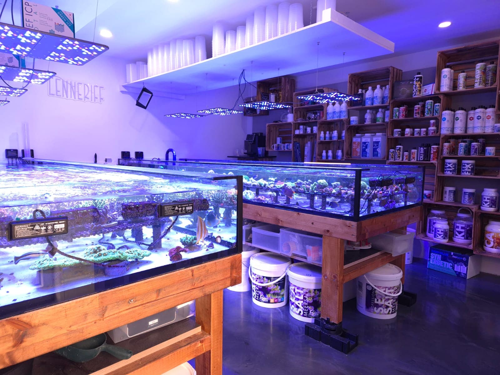 Korallen und Ausstellungsbecken bei LenneRiff